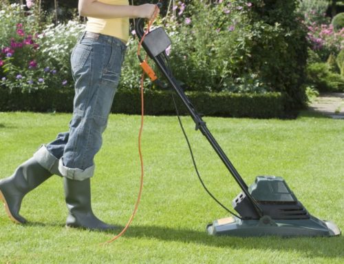 Mowing for a Better Lawn